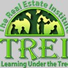 The Real Estate Institute TREI