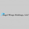 Angel Wings Holdings