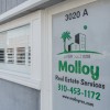 Molloy Real Estate Service