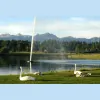 JoAnn Laird Real Estate