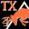 Texas Triangle Properties