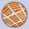 Terrascope Appraisal