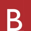 The Bosley Team