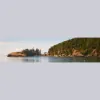 Whidbey Buyers Realty