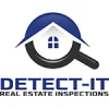 Detect-It Real Estate Inspections
