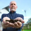 The Dirt Dealer