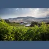 Millen Property Group