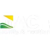 ACE Realty & Auction