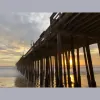 Shepherd Realty