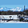 Central Montana Real Estate