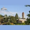 Revival Properties