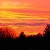 Mike Carr Boise Relocation