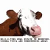 Hereford Realty