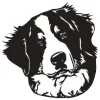 Diane C Butler Real Estate