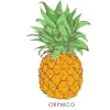 Orlando Rentals Property Management Company
