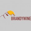 Brandywine Real Estate Management Services
