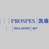 Prospes Real Estate